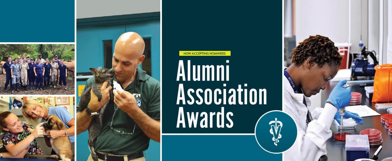 Alumni Association Awards