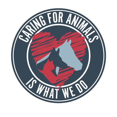 Animal Care for Pet Owners | Ross Vet