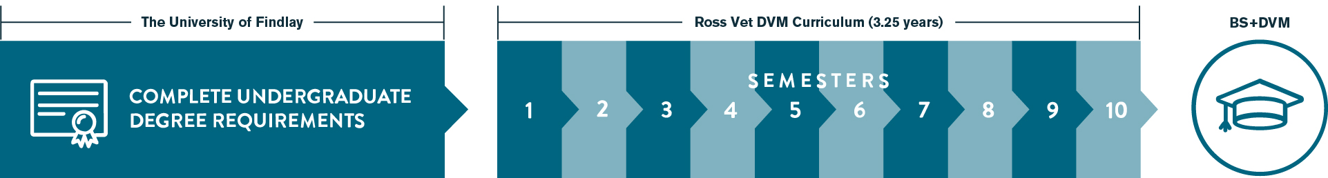 University of Findlay and Ross Vet curriculum timeline