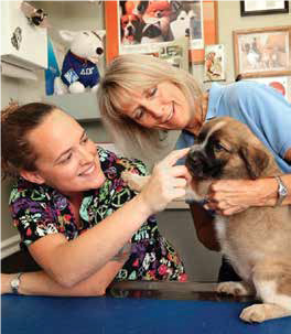 Ross vet alumna Michelle Durkee, DVM examining dog