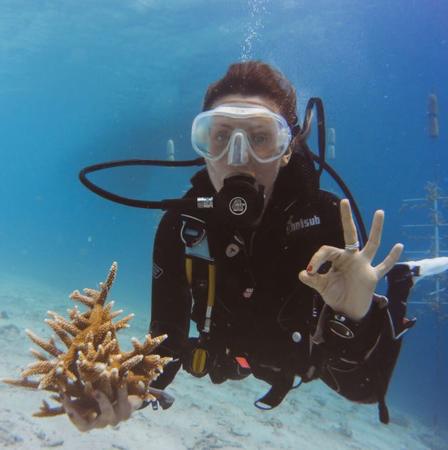 veterinarian scuba diver biologist