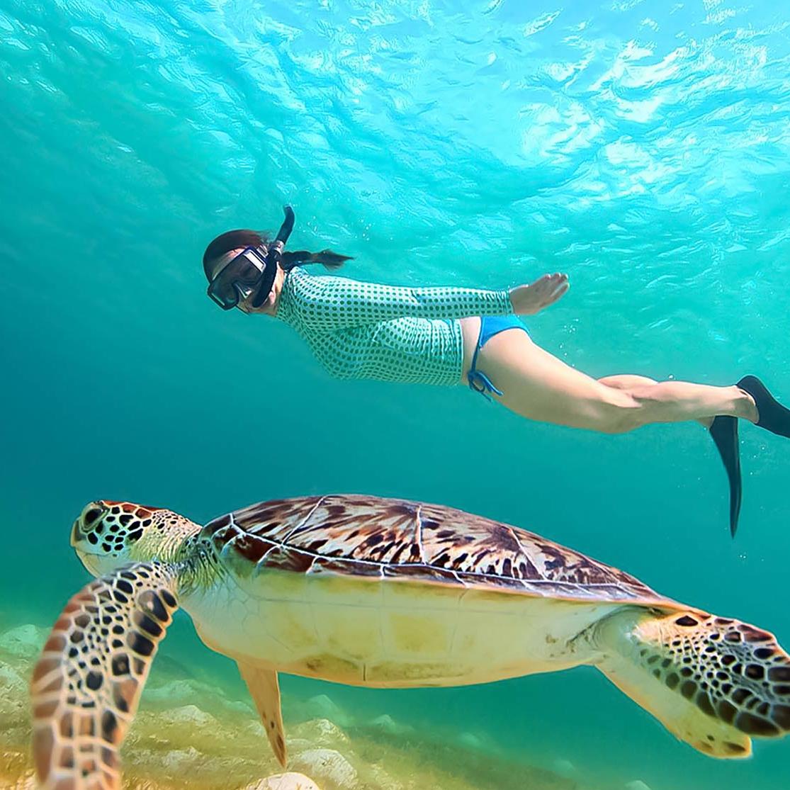 Diver swimming with a sea turtle underwater