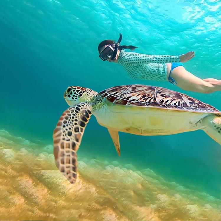 Diver swimming with a sea turtle underwater
