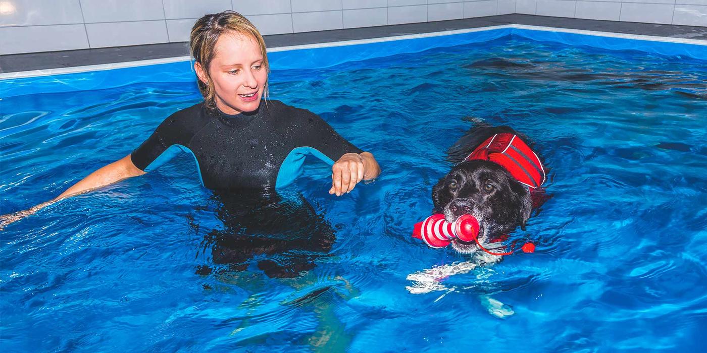 Veterinarian swimming with a dog in a pool