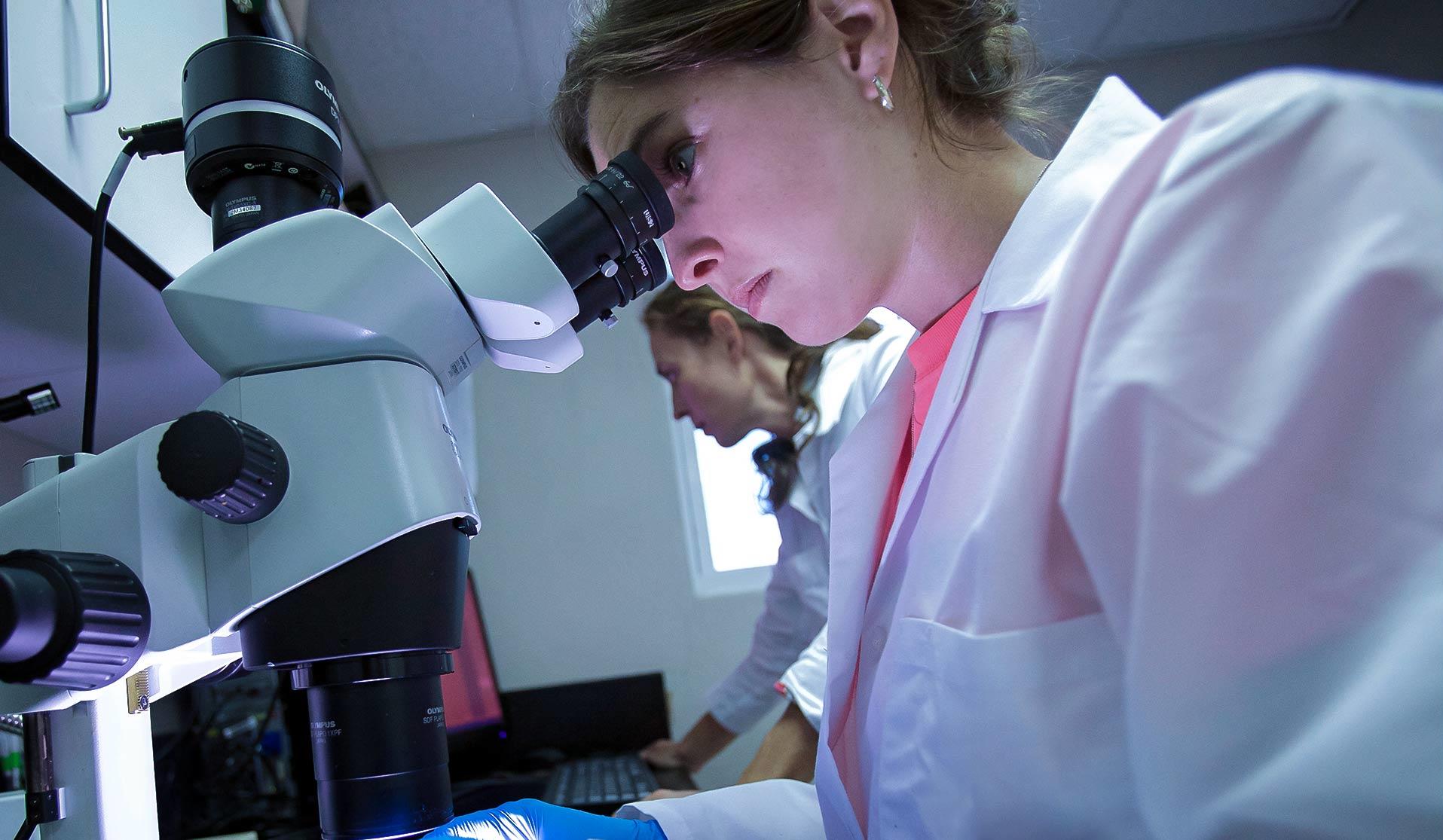 Two veterinarian students researching in a lab
