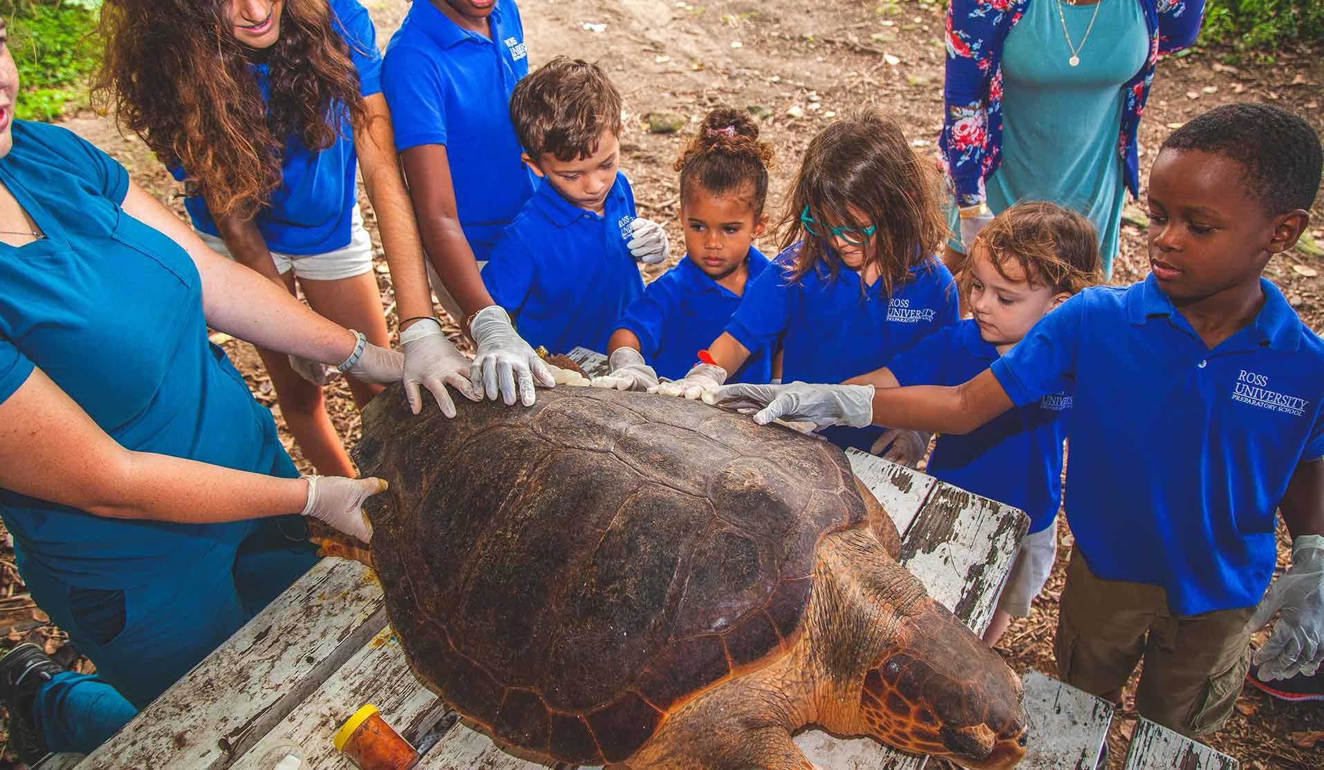 Veterinarians showing a group of kids a large sea turtle