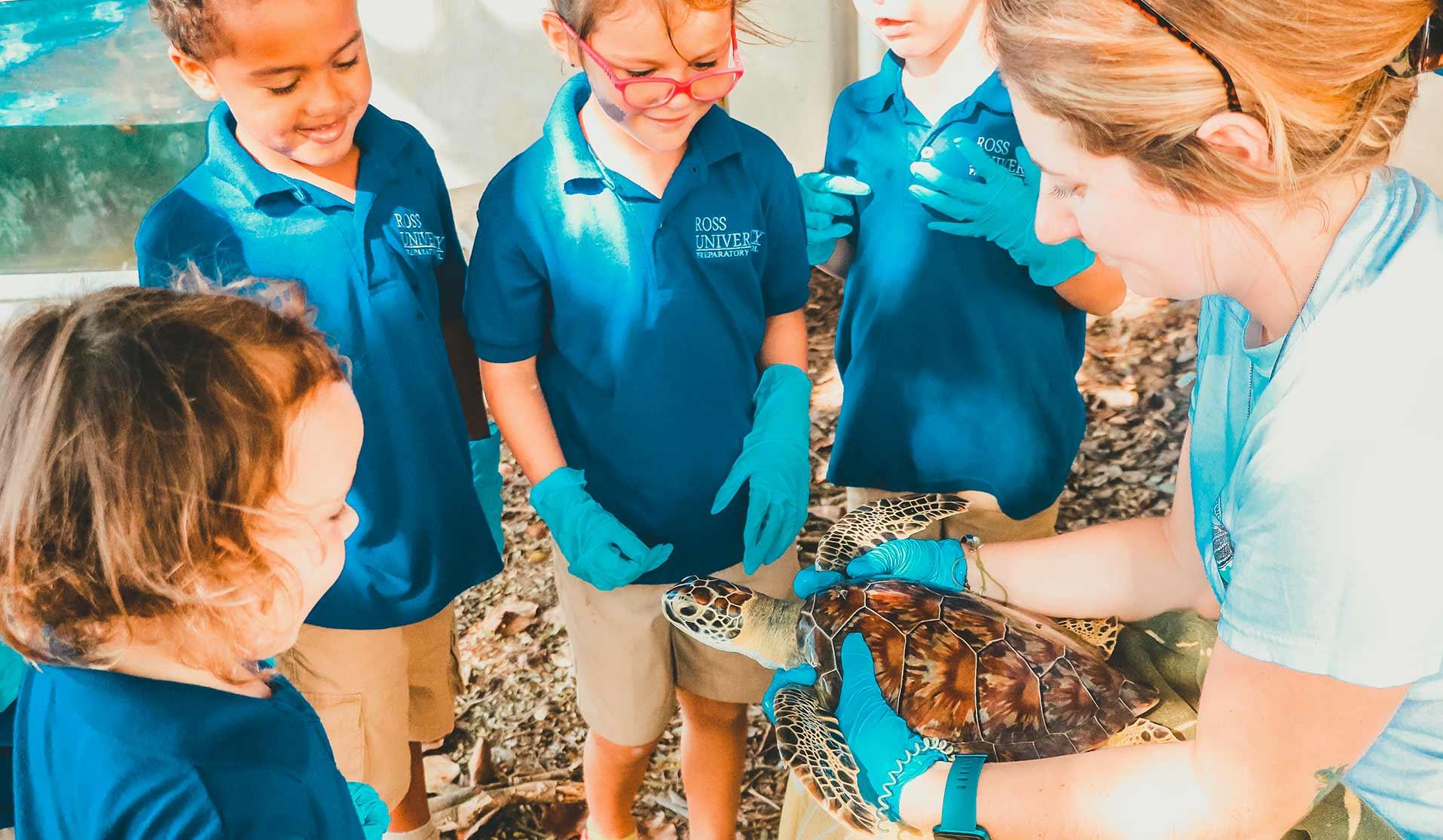 Animal expert showing a group of children a sea turtle
