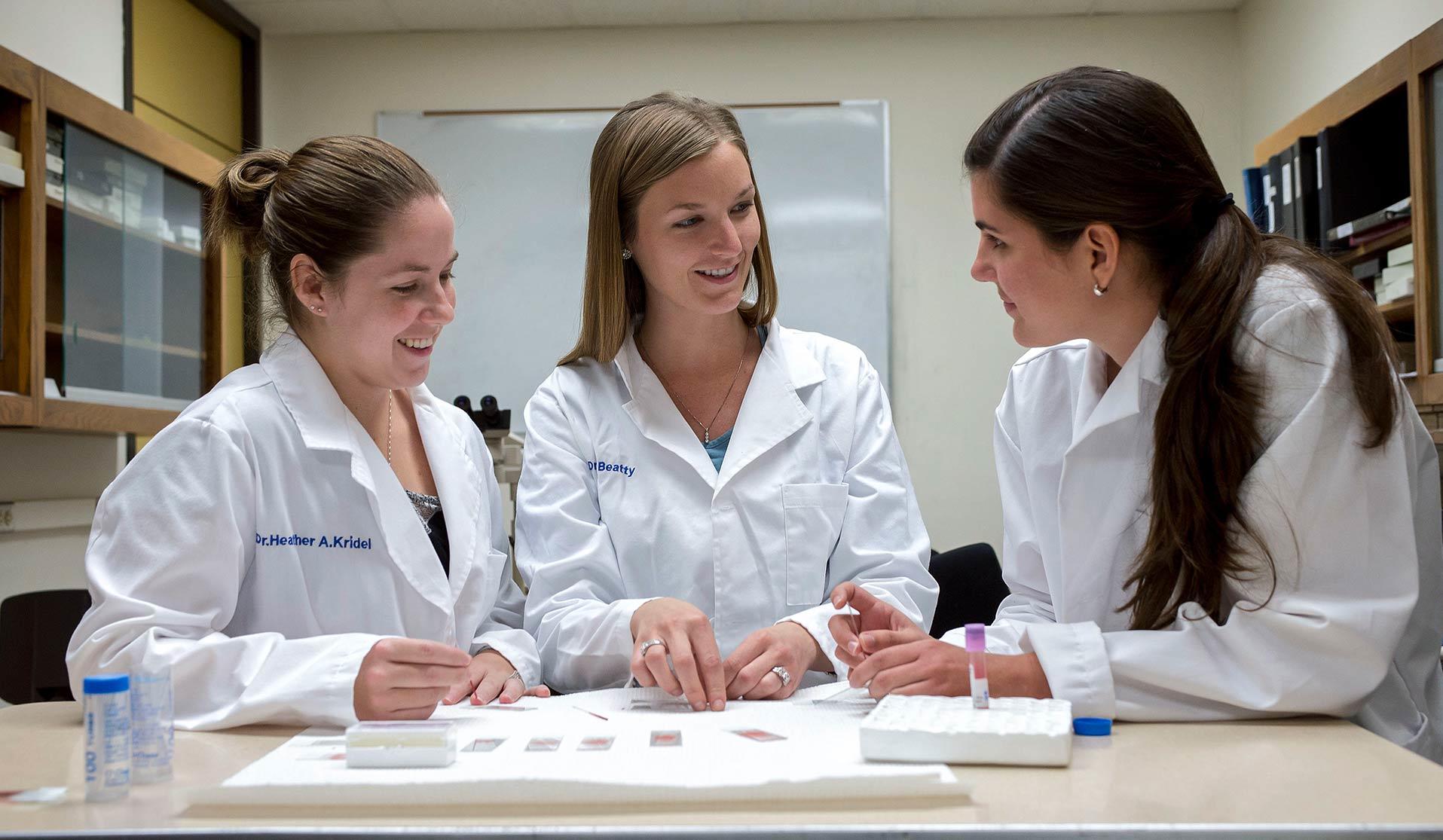 Three student veterinarians talking to each other