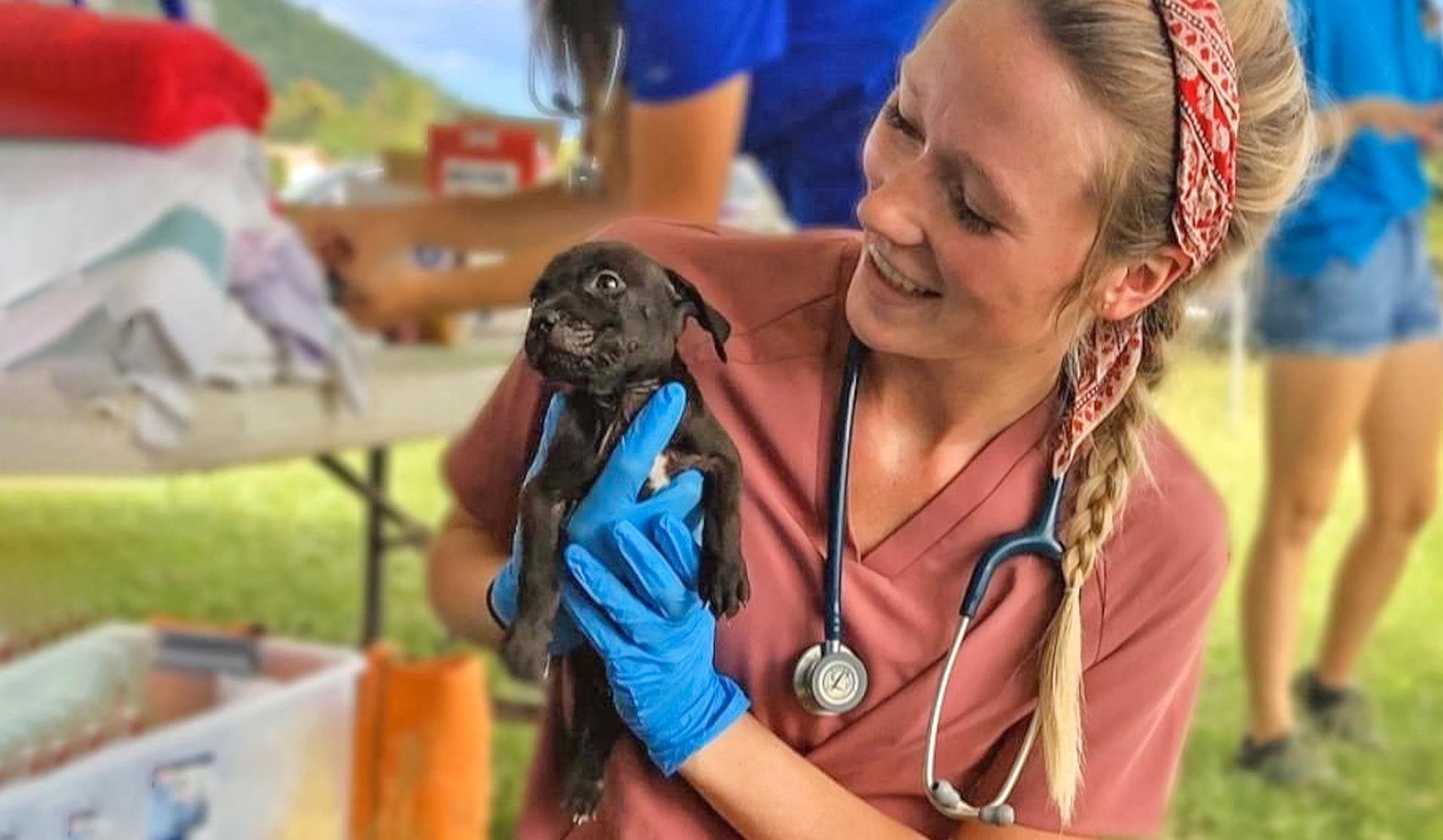 Veterinarian holding a newborn puppy