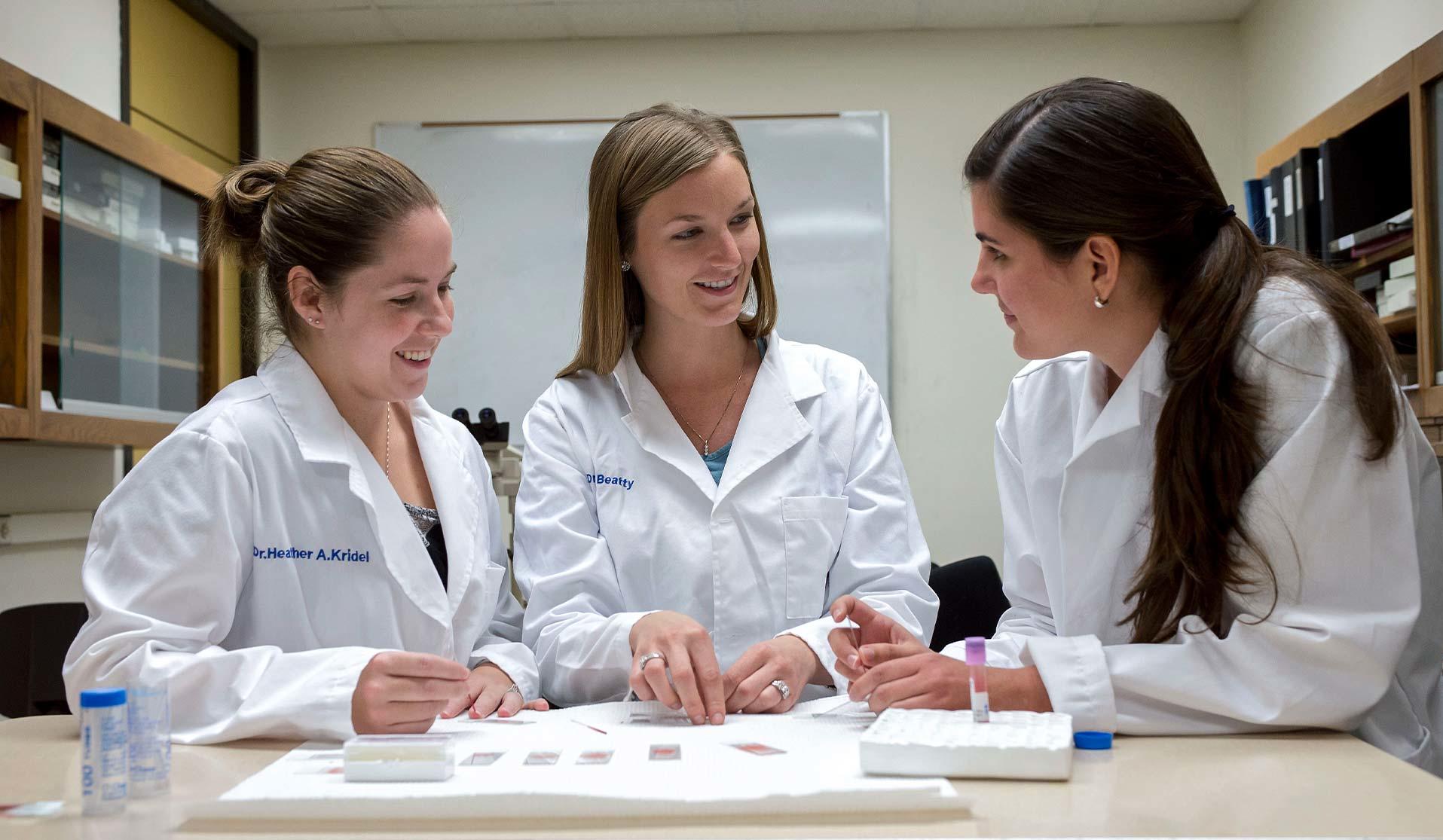 Three student veterinarians talking to each other