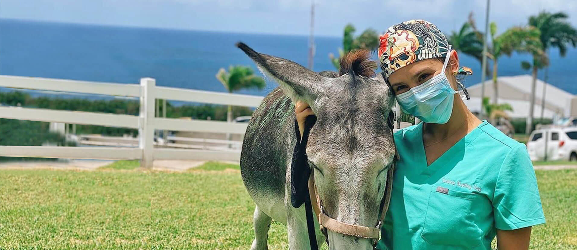 Student with donkey wearing a mask