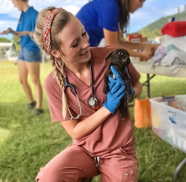 Veterinarian holding a newborn puppy