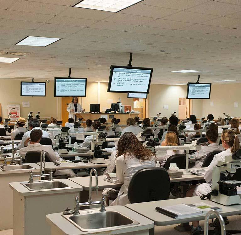 Veterinarian students in a large lecture classroom