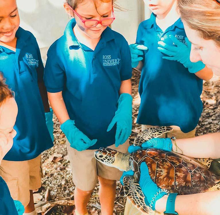 Veterinarian showing students a sea turtle