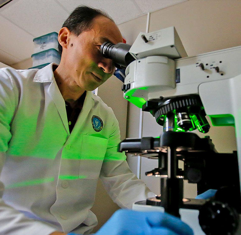 Veterinarian conducting research in a lab with a microscope
