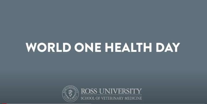 One World Health Day cover image