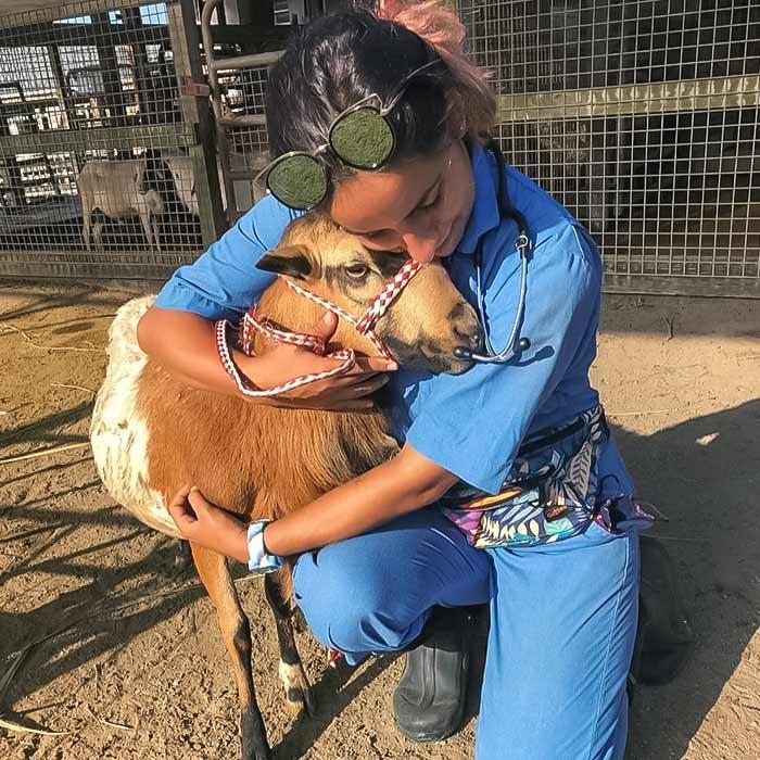 Veterinarian hugging a goat in a field