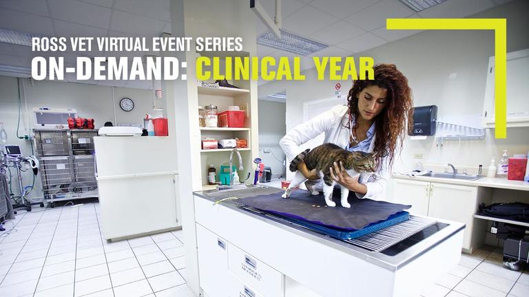 Ross Vet Virtual Event Series On-Demand Clinical Year thumbnail iage