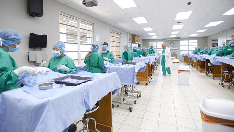 Veterinarians practicing surgery in a clinic