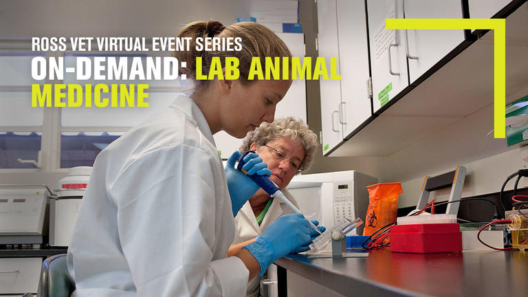 Watch: Lab Animal Medicine & Pursuing a Specialty | Ross Vet