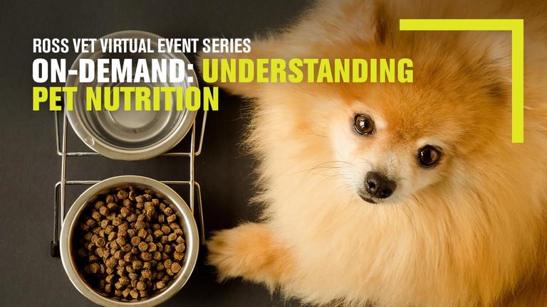 Pomeranian dog with bowls of food and water
