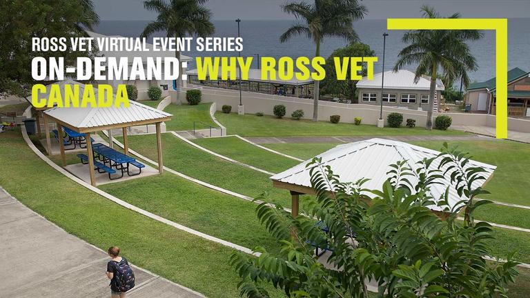 Ross Vet campus from above