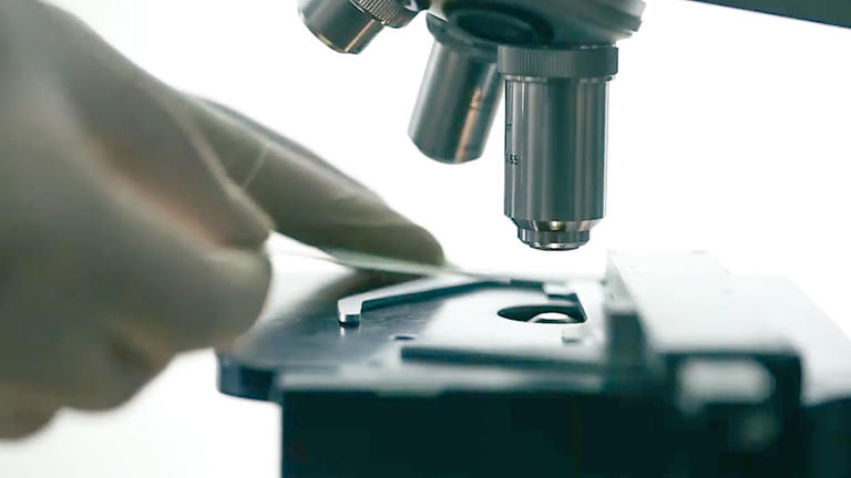 Veterinarian conducting research using microscope