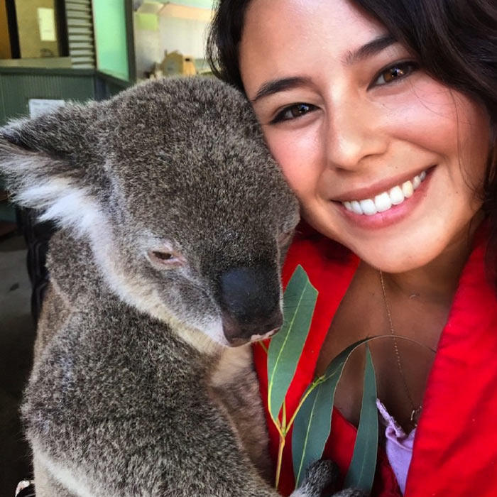 Veterinarian holding a koala