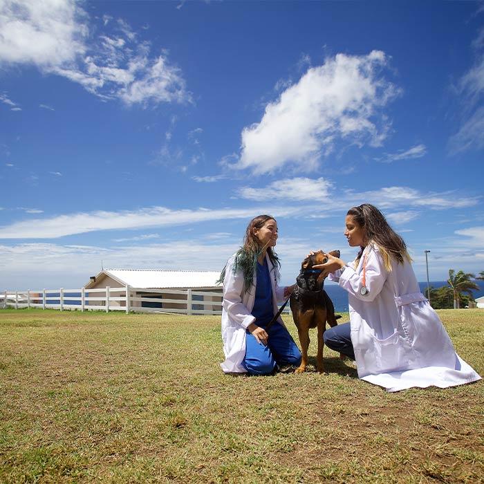 Two student veterinarians in a field with a dog