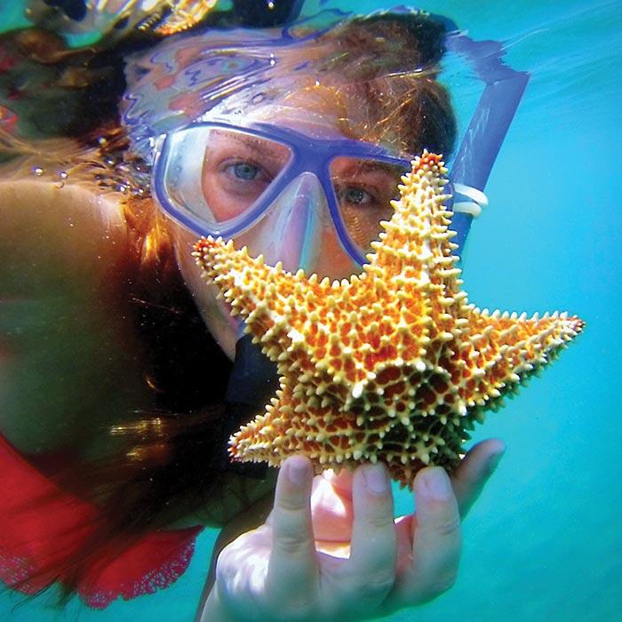 Diver holding a starfish underwater