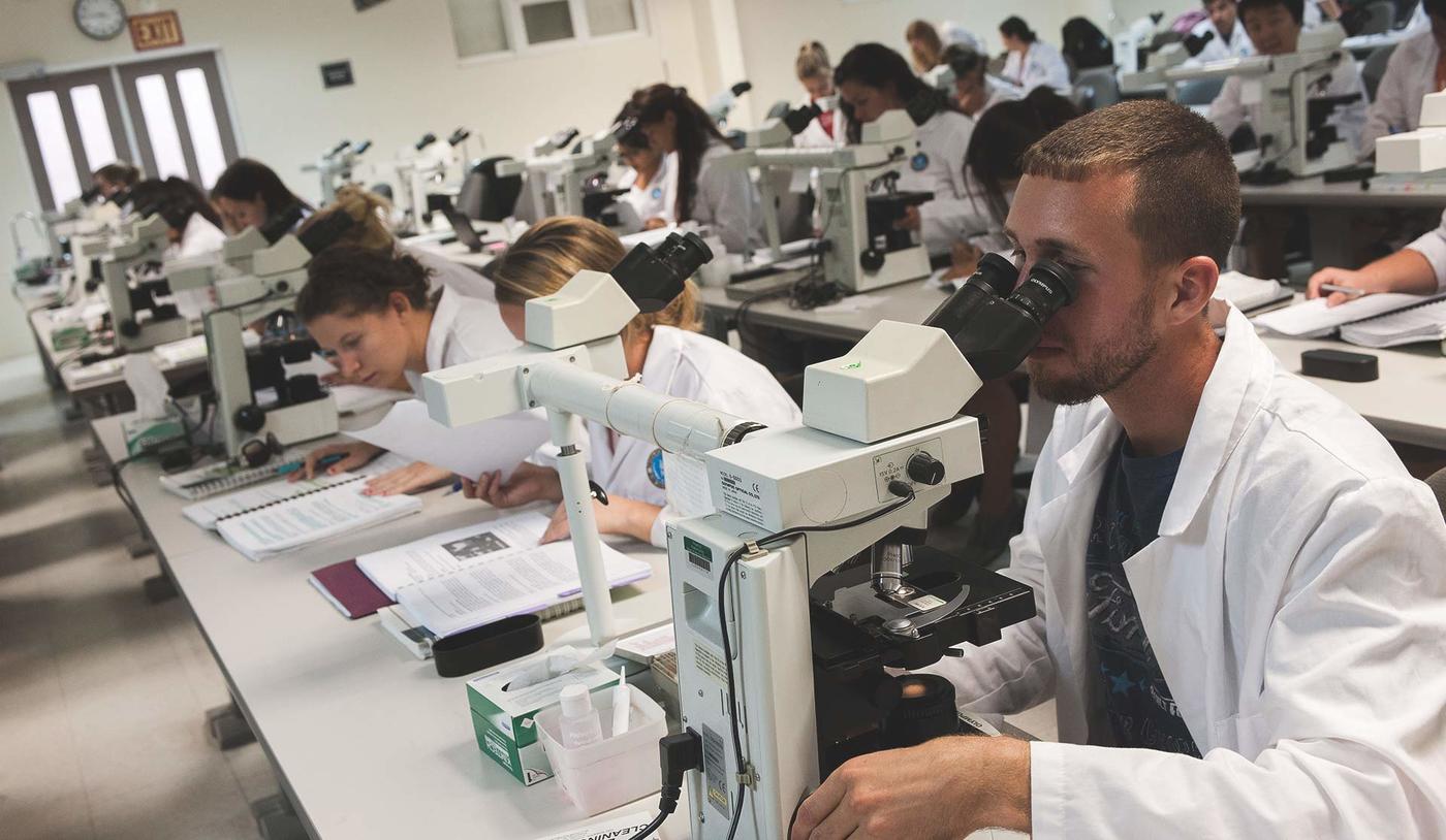 Veterinarian students observing data under microscopes