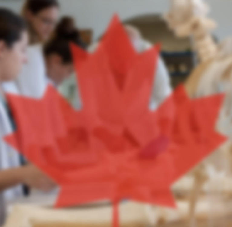 Canadian flag transparent overlay on a group of working students
