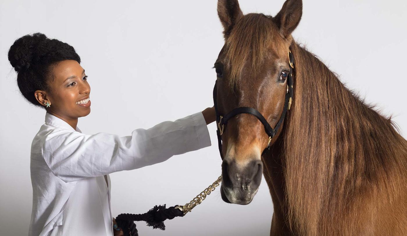 Veterinarian petting a brown horse