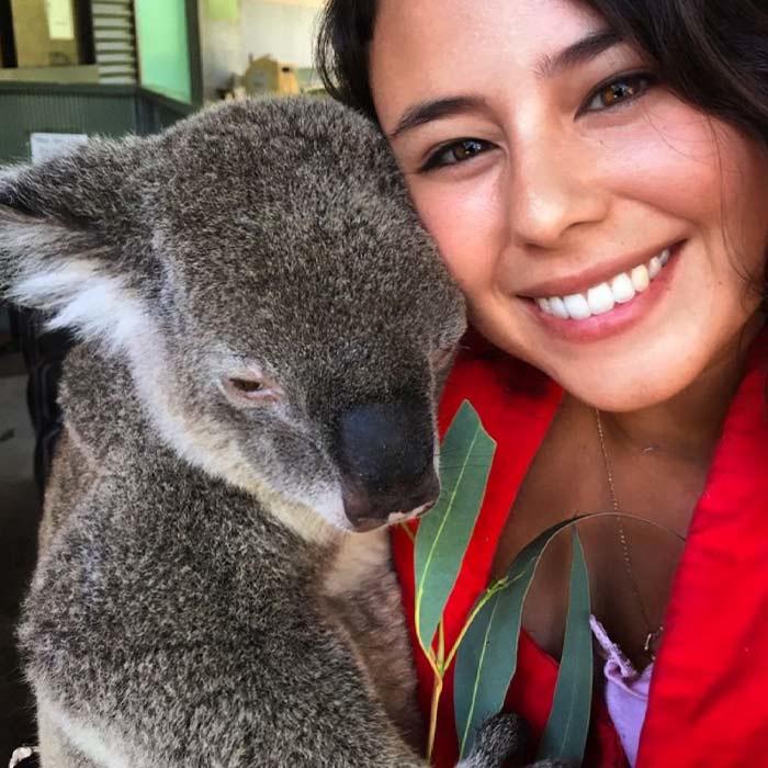Veterinarian holding a koala that's eating