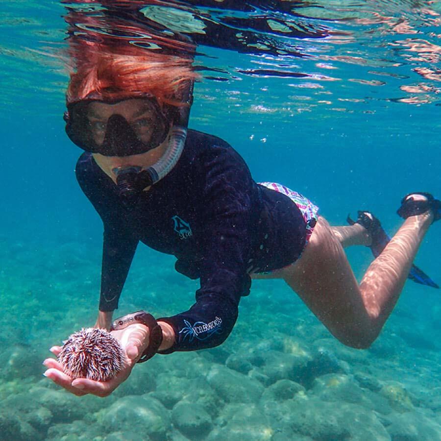 woman underwater snorkeling with sea urchin in her hand