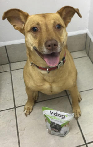 Happy dog standing over bag of food
