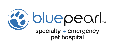 Blue Pearl logo