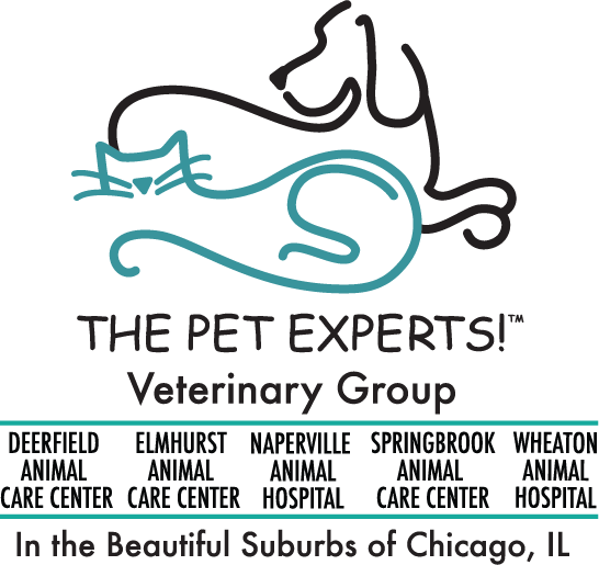 Pet Experts