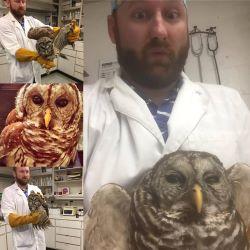 Veterinary student with owls
