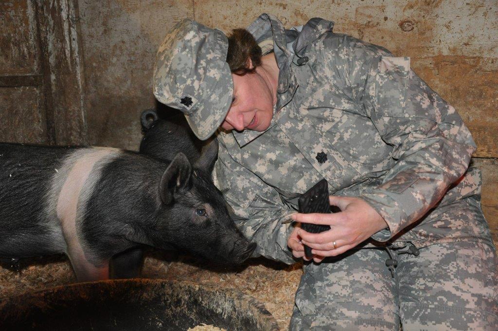 Dobbs in military clothing showing something on a phone to a pig
