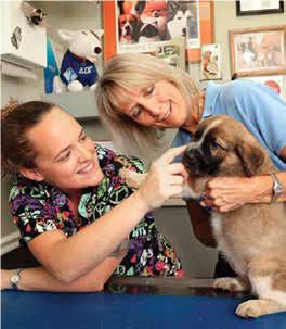 Two veterinarians smiling at puppy