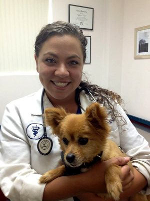 Veterinarian holding a small dog
