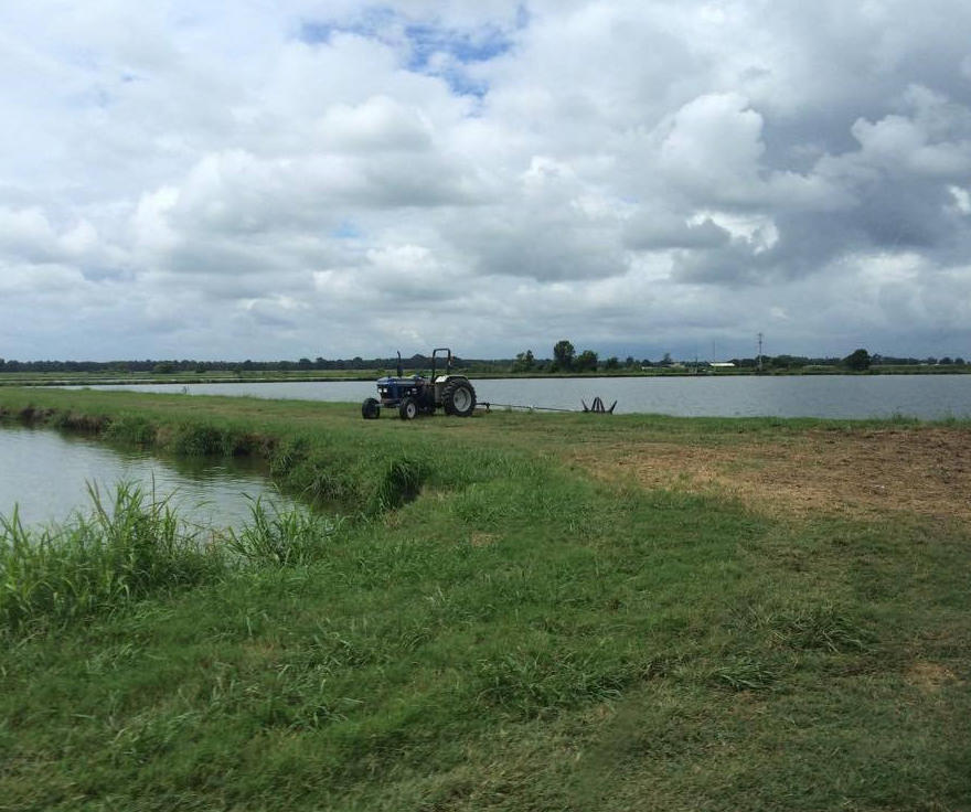 Tractor on a grass path between two bodies of water