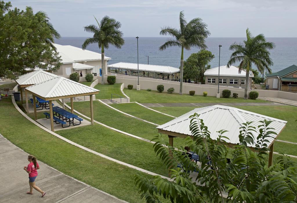 An aerial view of the Ross campus courtyard with picnic tables and palm trees.