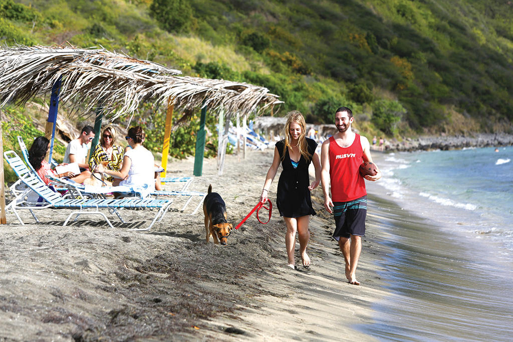 Man and woman walking dog along the beach