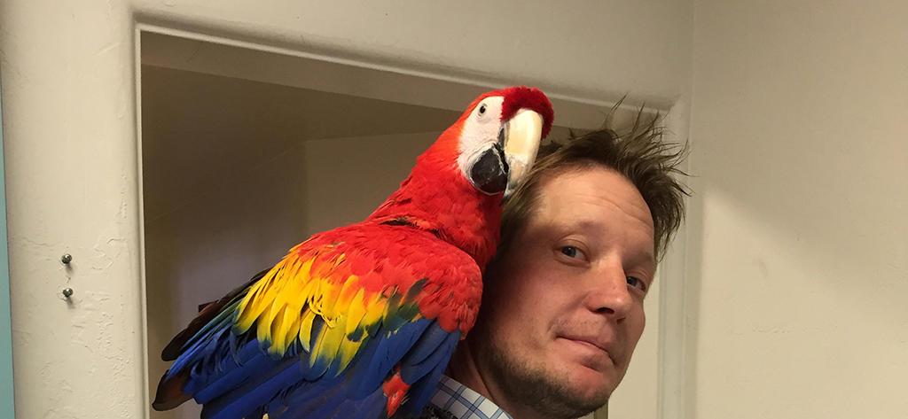 Man with a parrot on his shoulder