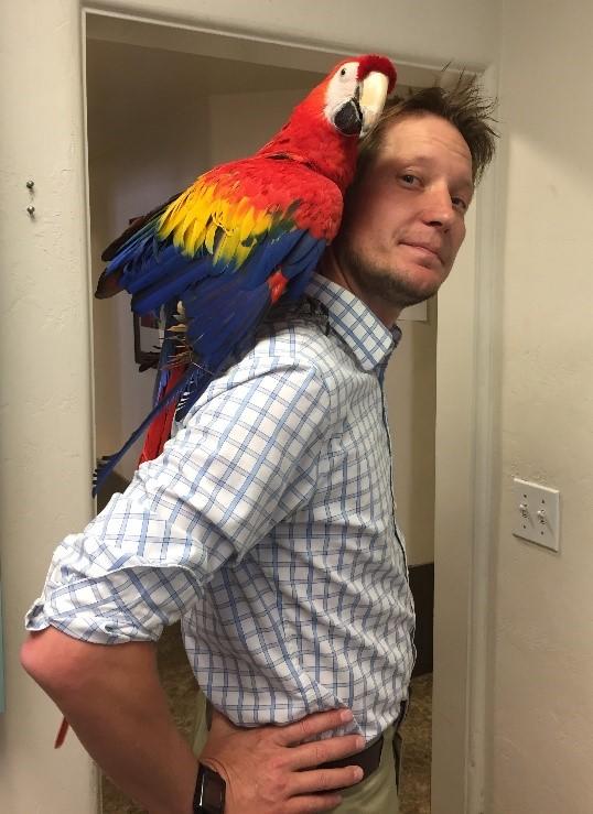 Man with a parrot on his shoulder