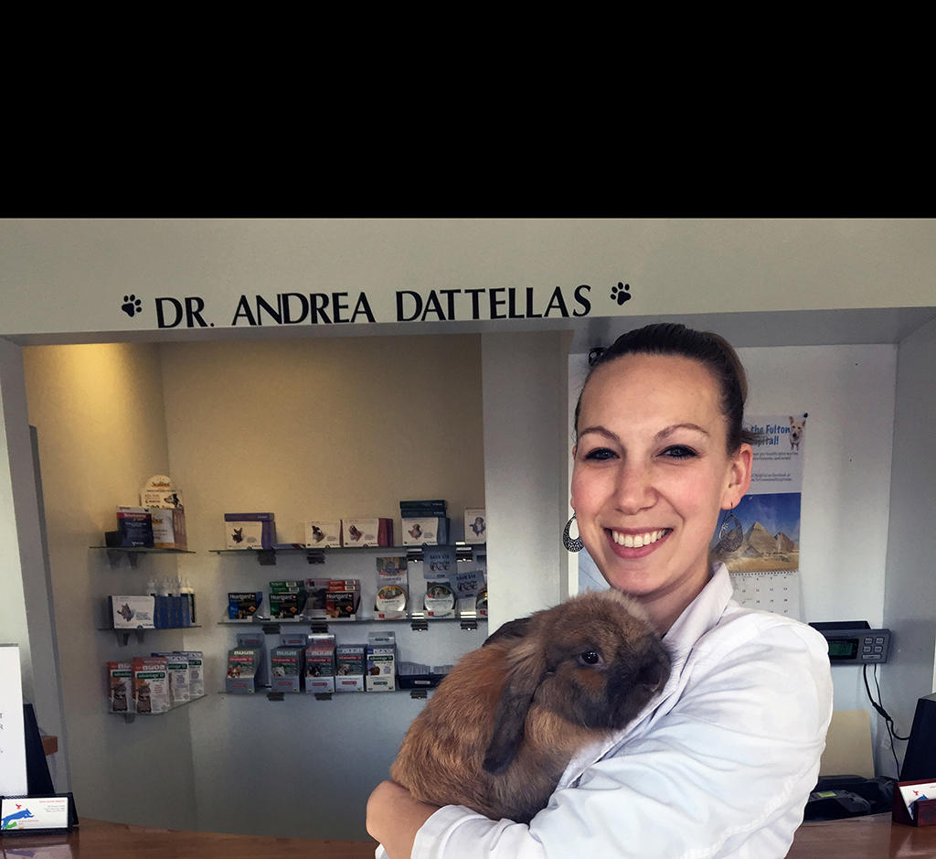 A veterinarian holding a rabbit.